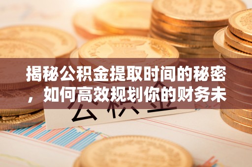 坪林揭秘公积金提取时间的秘密，如何高效规划你的财务未来