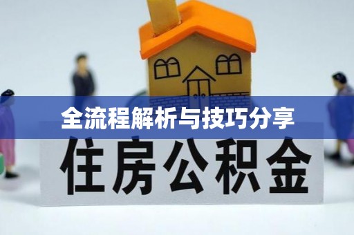 坪林全流程解析与技巧分享